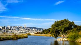 צילום: ניר בלזיצקי, דוברות עיריית חיפה